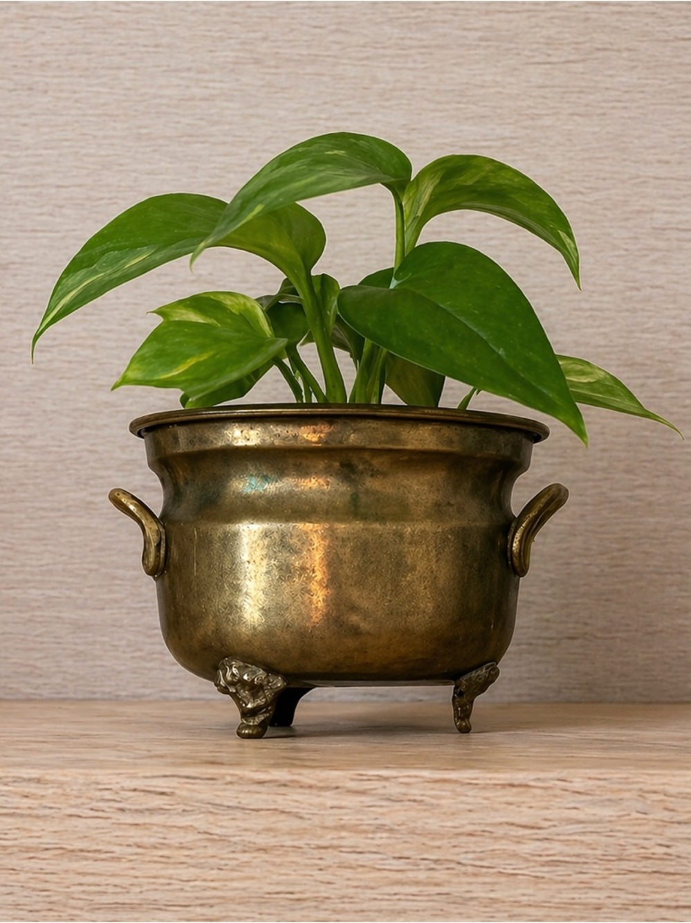 Vintage Brass Planter / Cachepot